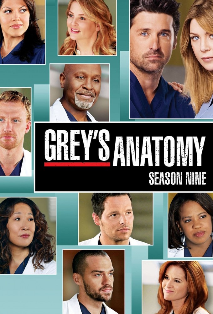 Grey's Anatomy - Season 9 [134319] (A1774146462) [[Shows 2.0]] --Plex--